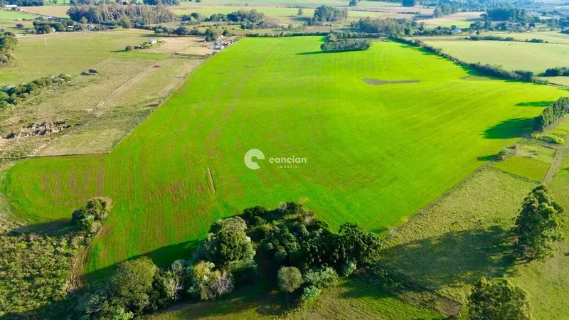 Área Rural à venda no Pains: 