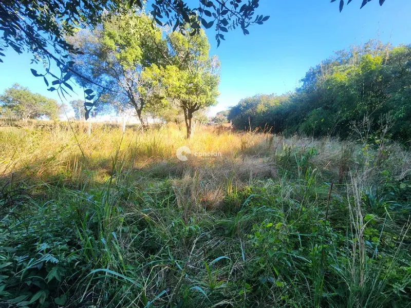 Terreno à venda no Cerrito: 