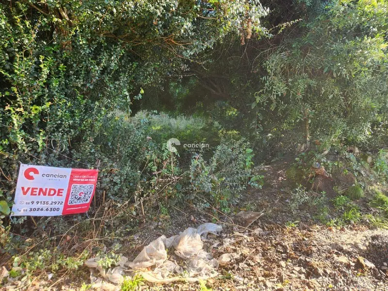 Terreno à venda no Cerrito: 