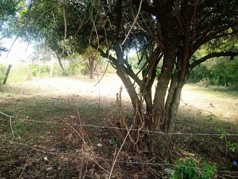 Terreno à venda no Cerrito: 
