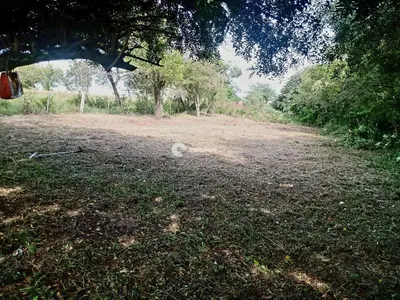 Terreno à venda no Cerrito: