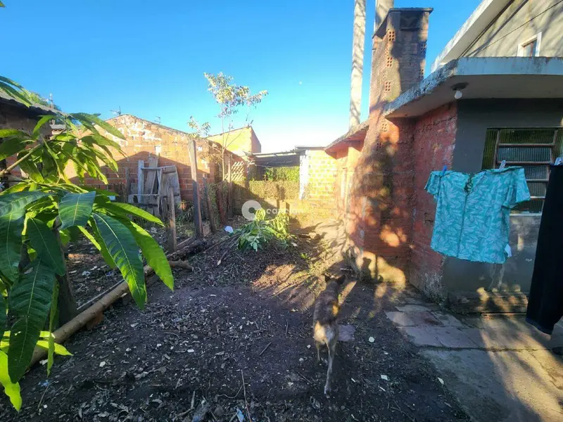 Casa à venda no Camobi: 