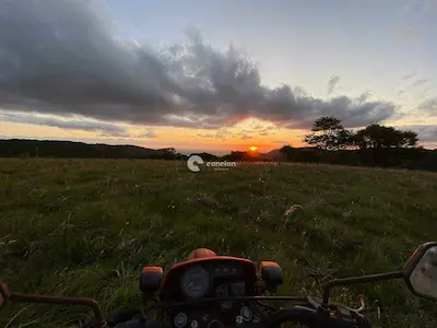Área Rural à venda no Silveira Martins: 