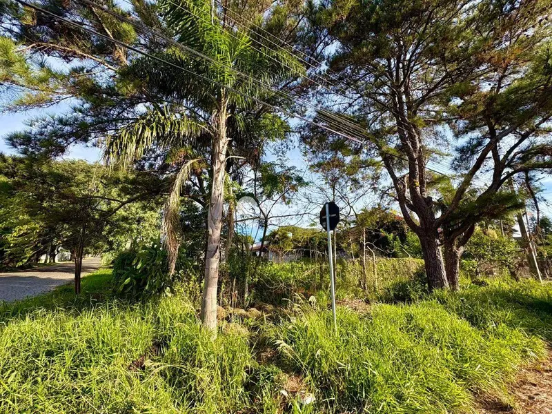 Terreno à venda no Camobi: 