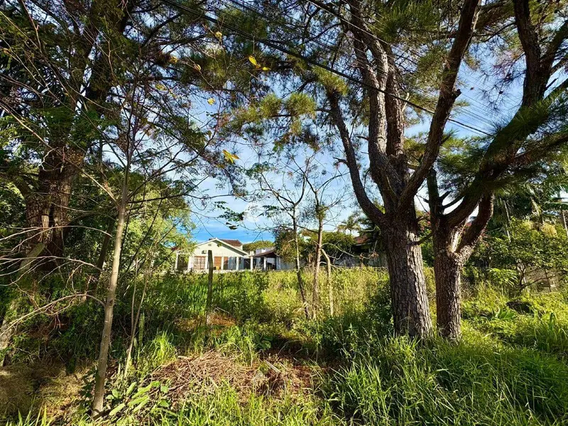 Terreno à venda no Camobi: 
