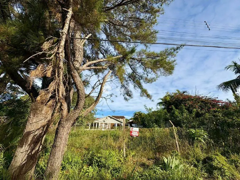 Terreno à venda no Camobi: 