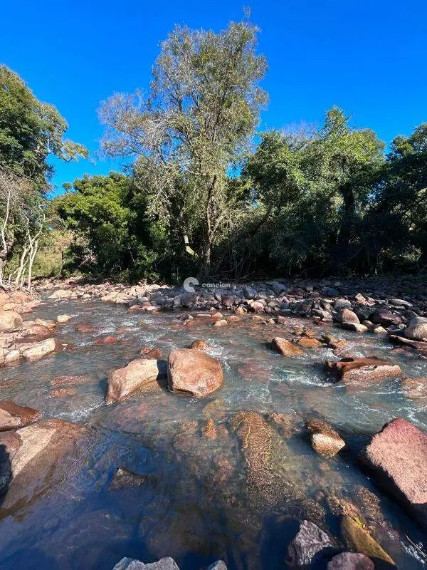 Chácara à venda no Tomazetti: 