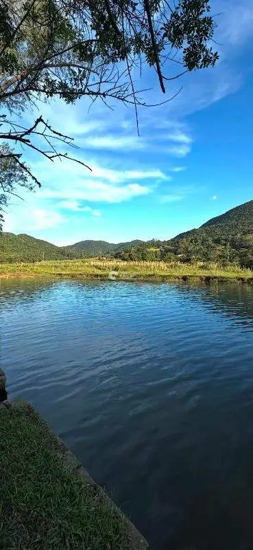 Área Rural à venda no Arroio do Veado: 