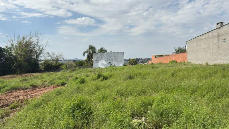 Terreno à venda no Pinheiro Machado: