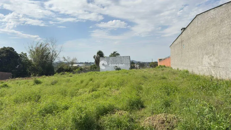 Terreno à venda no Pinheiro Machado: 