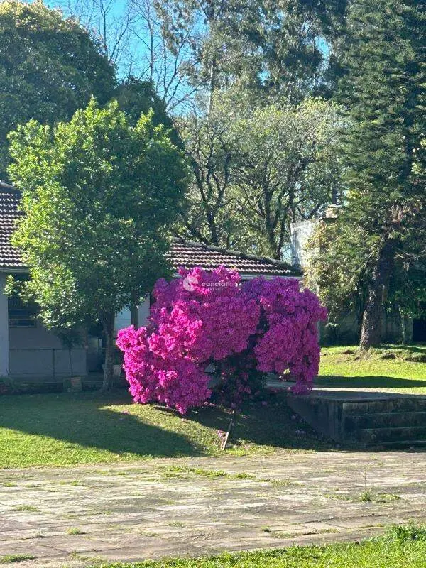 Chácara à venda no Boca do Monte: