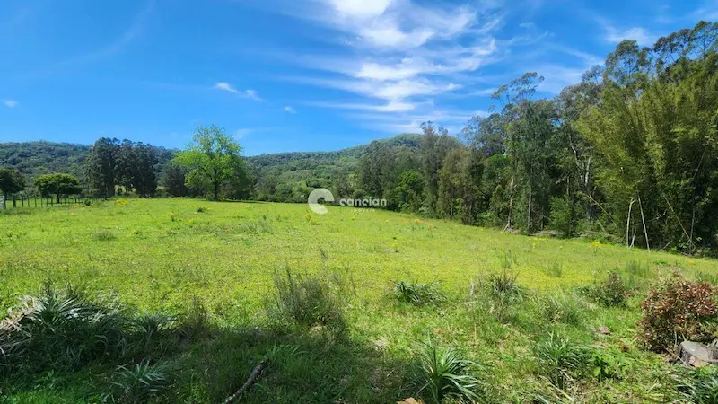 Área Rural à venda no Boca do Monte: 