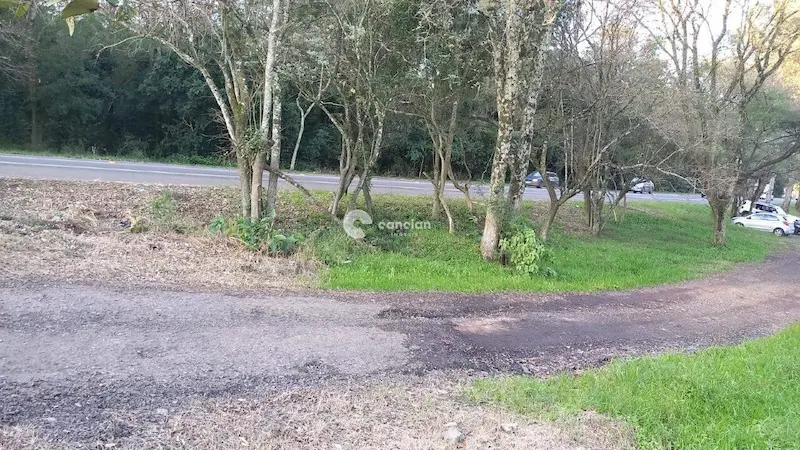 Terreno à venda no Cerrito: 