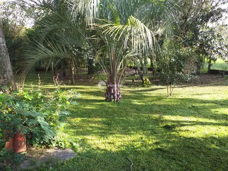 Terreno à venda no Camobi: 