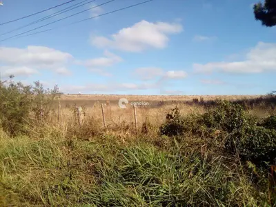 Área Rural à venda no Zona rural: 