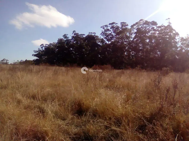 Área Rural à venda no Zona rural: 
