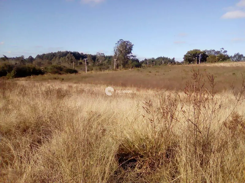 Área Rural à venda no Zona rural: 