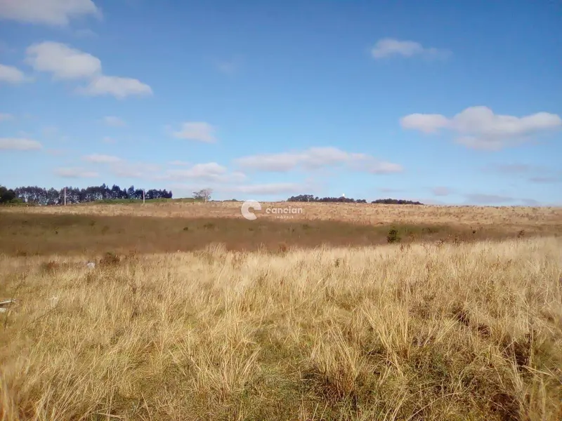 Área Rural à venda no Zona rural: 
