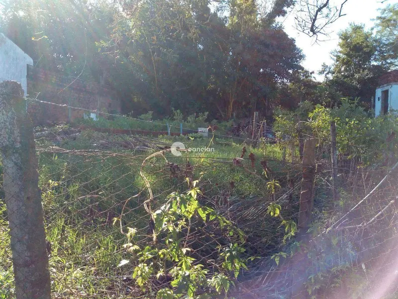 Terreno à venda no Noal: 