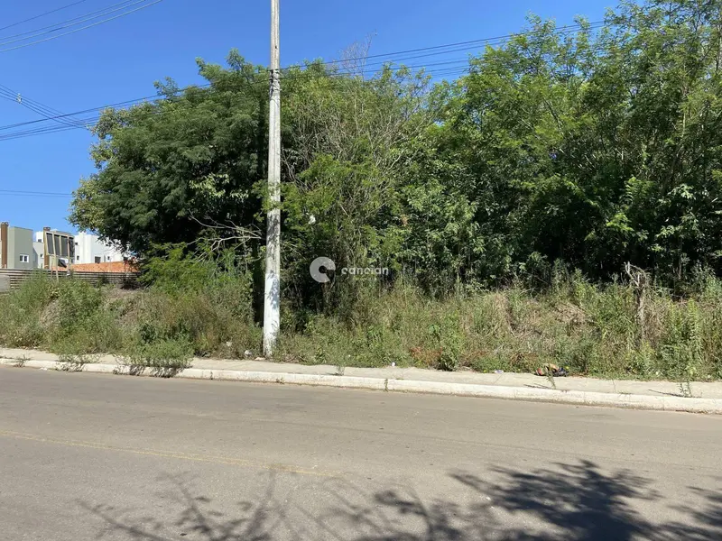 Terreno à venda no Cerrito: 