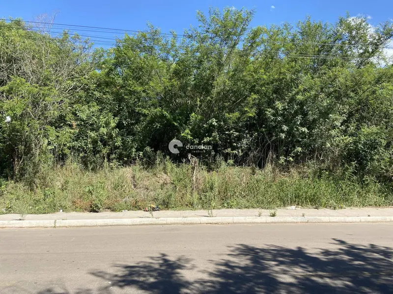 Terreno à venda no Cerrito: 